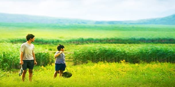 7 sites HAVEN’T MANY PEOPLE in Phu Yen for the coming holiday