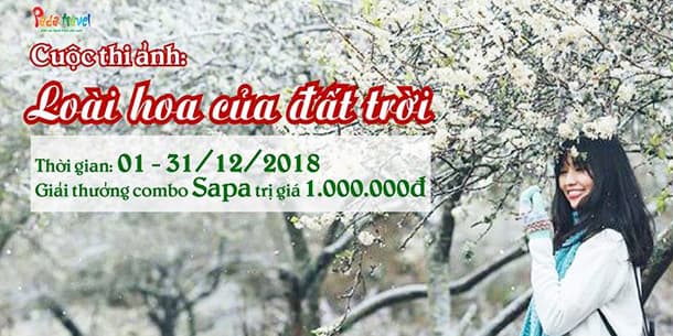 Cuộc thi ảnh: "LOÀI HOA CỦA ĐẤT TRỜI"