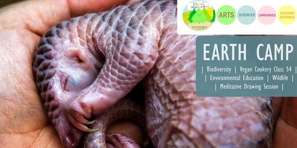 Chương trình trại EARTH CAMP 2019 tại Vườn quốc gia Cúc Phương