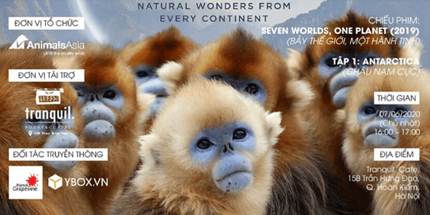 Sự Kiện Chiếu Phim: Seven Worlds, One Planet Tập 1: Antarctica Tổ Chức Bởi Tổ Chức Động Vật Châu Á 2020 (Miễn Phí Tham Dự)