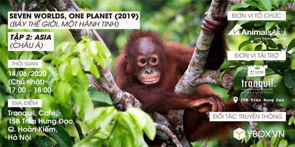 Sự Kiện Chiếu Phim: Seven Worlds, One Planet Tập 2: Asia Tổ Chức Bởi Tổ Chức Động Vật Châu Á 2020
