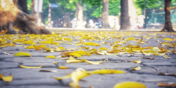 Hà Nội – Men người