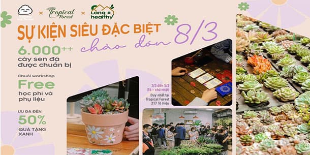 Chuỗi workshop 08/03: Tìm hoa trong rừng gửi người tui thương 