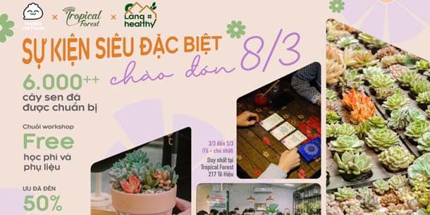 Cơ hội nhận ngay cây sen đá miễn phí khi tham gia chuỗi workshop chào đón 8.3 - Tìm hoa trong rừng gửi người tui thương