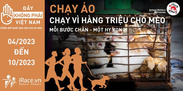  Sự Kiện Chạy Trực Tuyến; Chạy Vì Hàng Triệu Chó Mèo 2023