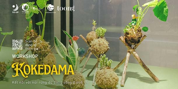 Cơ hội đăng ký tham dự Workshop trồng cây Kokedama - Ngày 25.02.2024