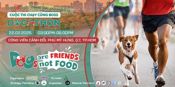 Giải chạy InterPetFest Dogathon 2025 tại TP Hồ Chí Minh