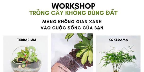 TRẢI NGHIỆM WORKHSOP 'TRANG TRÍ TERRARIUM KHÔNG DÙNG ĐẤT