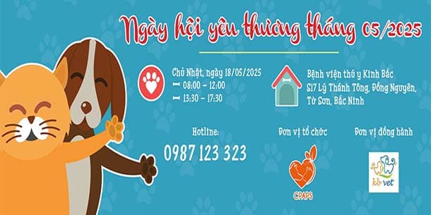 Ngày hội yêu thương 18/05/2025 - Hoạt động do Trạm cứu hộ chó mèo Hà Nội phối hợp với các phòng khám thú y tổ chức