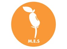 MES