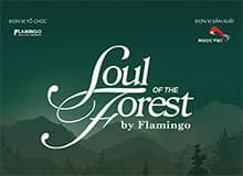 Flamigo Đại Lải - Ngọc Việt 